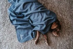 Hunter Hondendeken Casper Blauw -Hunter Winkel image 1011