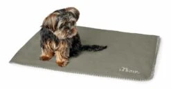 Hunter Hondendeken Casper Groen -Hunter Winkel image 1024