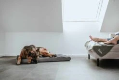 Hunter Hondendeken Casper Groen -Hunter Winkel image 1026