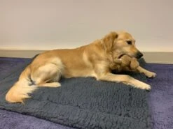 Hugglehounds Fleece Mat Grijs