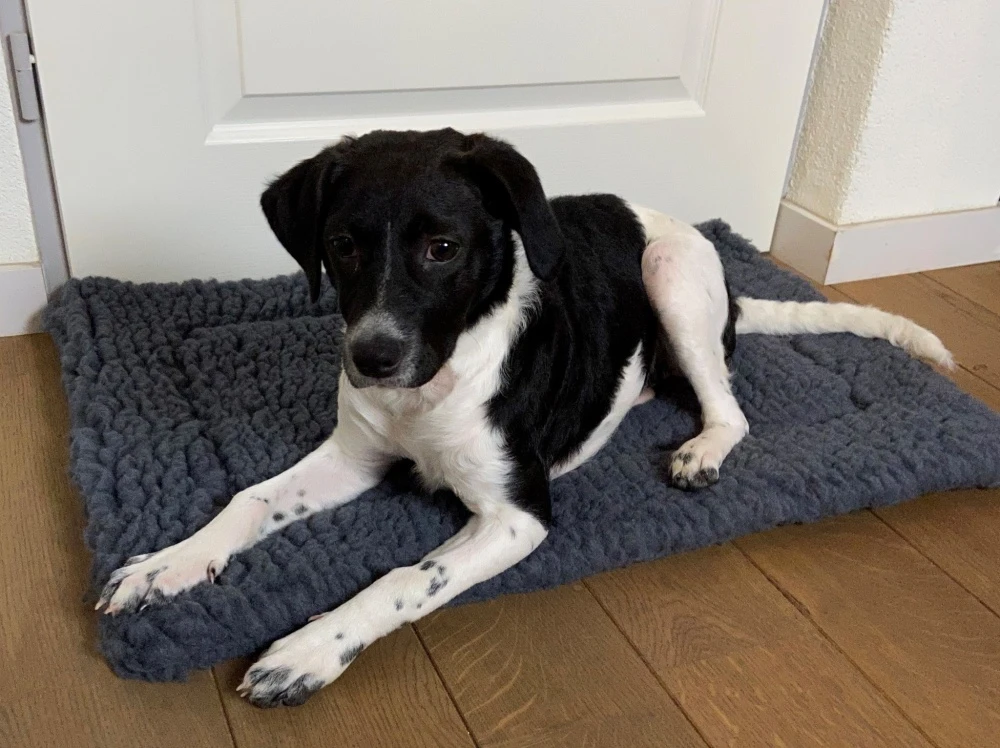 Hugglehounds Fleece Mat Grijs 6 Hugglehounds Fleece Mat Grijs - Afbeelding 4