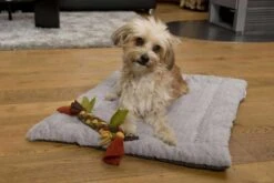 TrendPet Hondendeken Heaven Grijs 13 TrendPet Hondendeken Heaven Grijs -Hunter Winkel image 1043