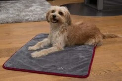 TrendPet Hondendroogdeken Ruby