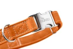 Hunter Hondenhalsband Cannes Alu Strong Oranje