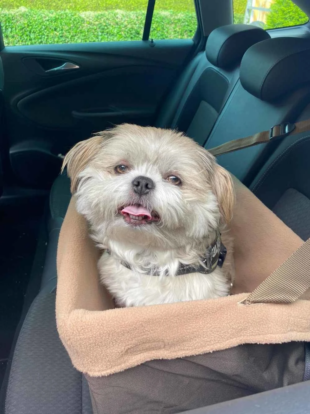 Petsafe Honden Autostoel Happy Ride Booster Seat 4 Petsafe Honden Autostoel Happy Ride Booster Seat - Afbeelding 2