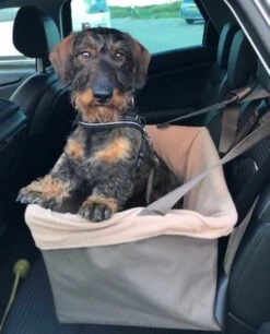 Petsafe Honden Autostoel Happy Ride Booster Seat 15 Petsafe Honden Autostoel Happy Ride Booster Seat -Hunter Winkel image 1099