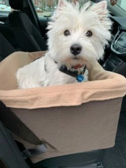 Petsafe Honden Autostoel Pet Safety Seat -Hunter Winkel image 1138