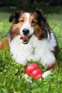 Kong Hondenspeelgoed Classic -Hunter Winkel image 117