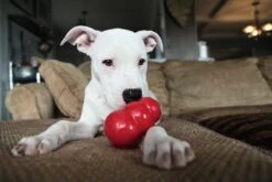 Kong Hondenspeelgoed Classic -Hunter Winkel image 118