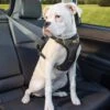 Kurgo Hondentuig Impact Dog Car Harness -Hunter Winkel image 1180
