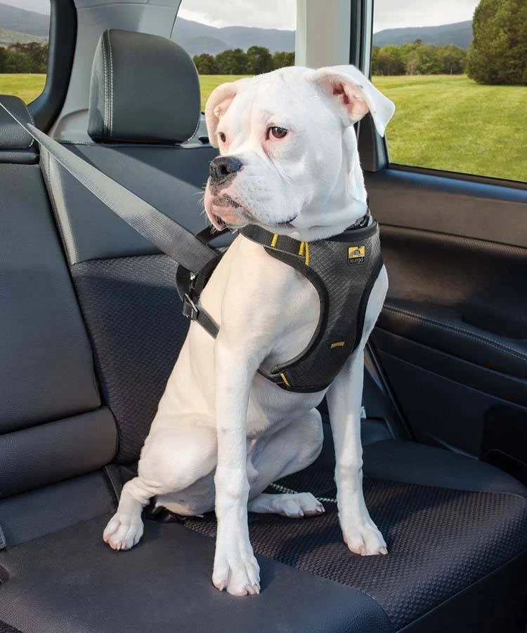 Kurgo Hondentuig Impact Dog Car Harness 3 Kurgo Hondentuig Impact Dog Car Harness