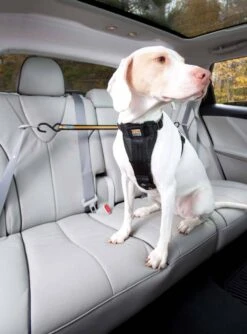 Kurgo Veiligheidsriem -Hunter Winkel image 1189