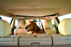 Kurgo Veiligheidsriem -Hunter Winkel image 1194