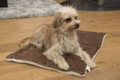 Hunter Winkel -Hunter Winkel image 12