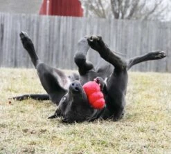 Kong Hondenspeelgoed Classic -Hunter Winkel image 120