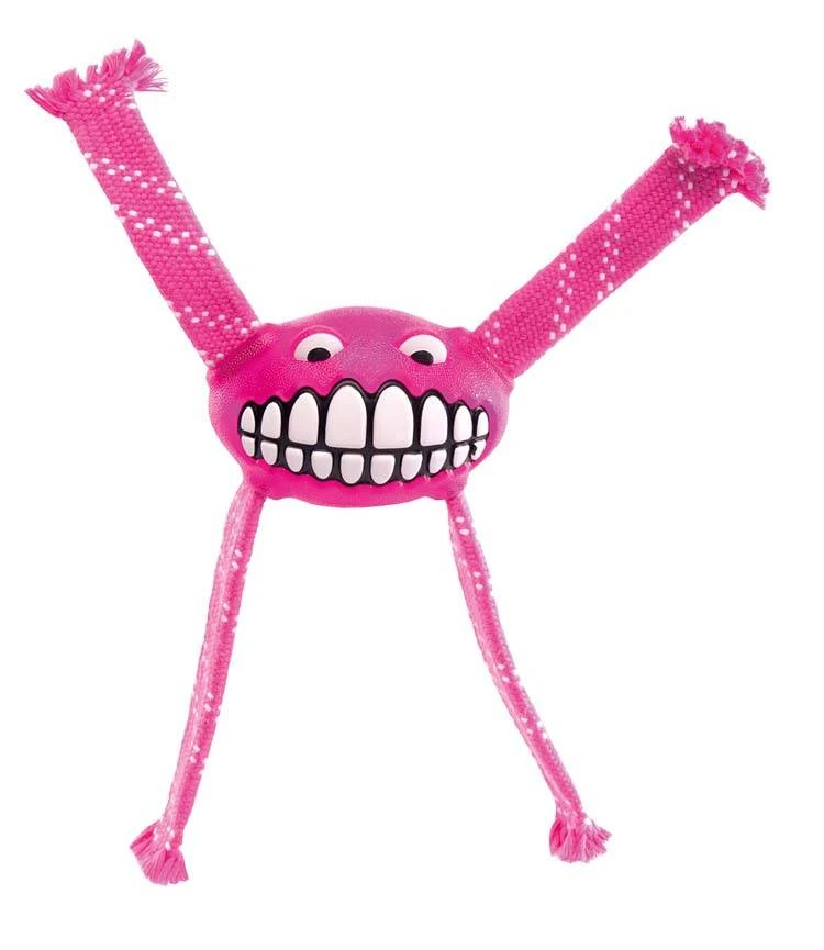 Rogz Hondenspeelgoed Flossy Grinz Roze 3 Rogz Hondenspeelgoed Flossy Grinz Roze