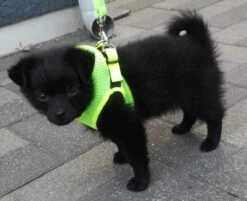 Uitgelichte producten -Hunter Winkel image 124