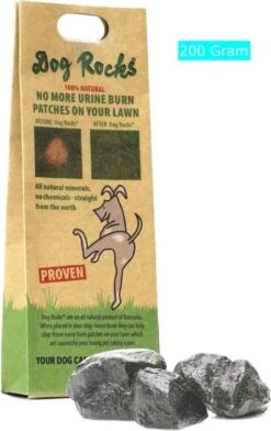 Dog Rocks -Hunter Winkel image 1246