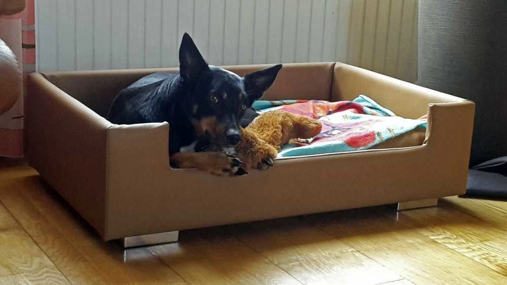 Silvio Design Hondensofa Candy Lichtbruin 4 Silvio Design Hondensofa Candy Lichtbruin - Afbeelding 2