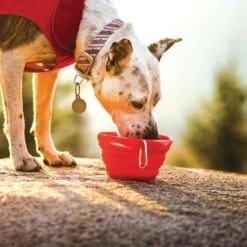 Kurgo Inklapbare Drinkbak Collaps-a-Bowl Rood