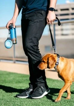 Dexas Snack Duo Met Travel Cup Pro Blue -Hunter Winkel image 1471