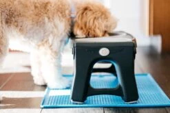 Dexas Adjustable Height Pet Feeder Light Grey 7 Dexas Adjustable Height Pet Feeder Light Grey -Hunter Winkel image 1476