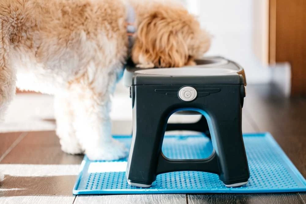 Dexas Adjustable Height Pet Feeder Light Grey 4 Dexas Adjustable Height Pet Feeder Light Grey - Afbeelding 2