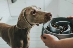 Hunter Anti Schrok Voerbak Atlanta Grijs -Hunter Winkel image 1485