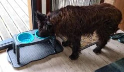 Dexas Adjustable Height Pet Feeder Pro Blue -Hunter Winkel image 1499