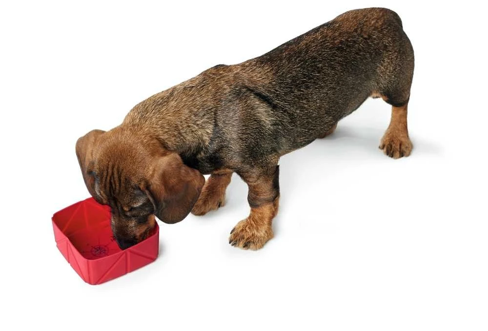 Hunter Opvouwbare Travel Bowl List Rood 4 Hunter Opvouwbare Travel Bowl List Rood - Afbeelding 2