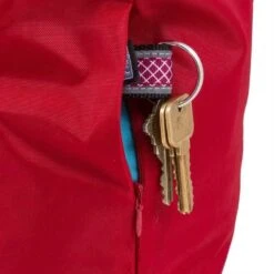 Kurgo Draagbare Voercontainer Kibble Carrier Rood -Hunter Winkel image 1520