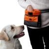 EQDOG Beloningszakje Click And Treat Oranje 1 EQDOG Beloningszakje Click And Treat Oranje -Hunter Winkel image 1593