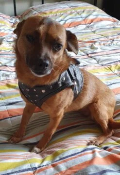 Uitgelichte producten -Hunter Winkel image 163