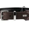 Hunter Hondenhalsband Basic Bruin -Hunter Winkel image 166
