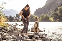 Curli Beloningszakje Grijs -Hunter Winkel image 1660