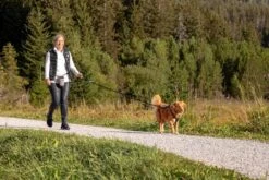 Curli Beloningszakje Grijs -Hunter Winkel image 1661