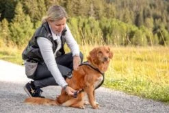 Curli Beloningszakje Grijs -Hunter Winkel image 1662