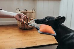 Hunter Hondenspeelgoed Pombas