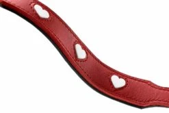 Hunter Verstelbare Hondenriem Love -Hunter Winkel image 170