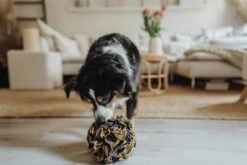 Hunter Gerecycled Hondenspeelgoed Eiby -Hunter Winkel image 1709