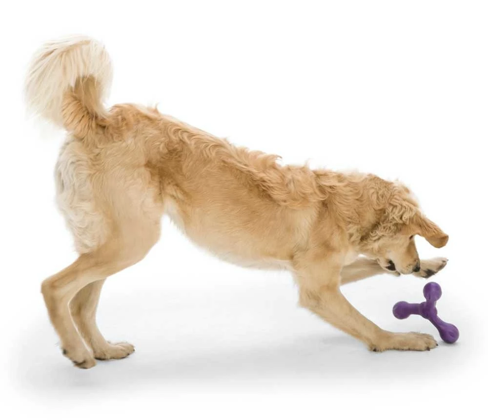 West Paw Design Hondenspeelgoed Echo Skamp Paars 4 West Paw Design Hondenspeelgoed Echo Skamp Paars - Afbeelding 2