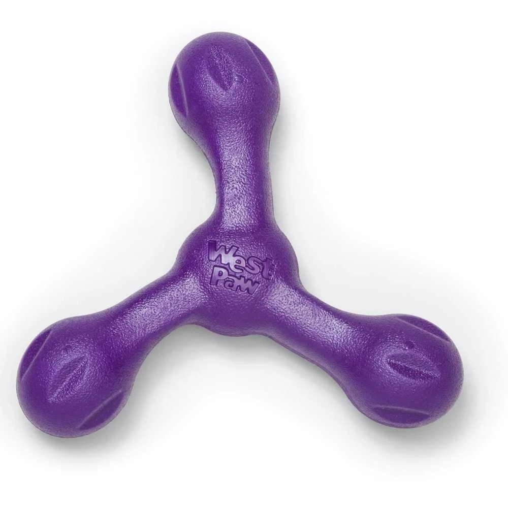 West Paw Design Hondenspeelgoed Echo Skamp Paars 5 West Paw Design Hondenspeelgoed Echo Skamp Paars - Afbeelding 3
