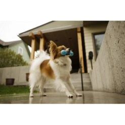 West Paw Design Hondenspeelgoed Zogoflex Hurley Aqua -Hunter Winkel image 1721