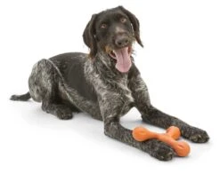 West Paw Design Hondenspeelgoed Echo Skamp Oranjer -Hunter Winkel image 1734