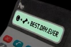 P.L.A.Y. Hondenspeelgoed Back To School - Calculator -Hunter Winkel image 1768