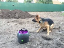 Petsafe Automatische Ballenwerper