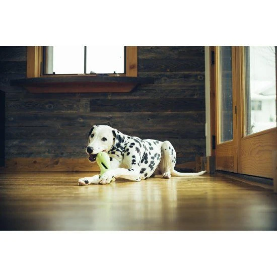 West Paw Design Hondenspeelgoed Zogoflex Qwizl Granny Smith 5 West Paw Design Hondenspeelgoed Zogoflex Qwizl Granny Smith - Afbeelding 3