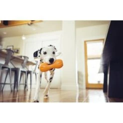 West Paw Design Hondenspeelgoed Zogoflex Qwizl Oranje -Hunter Winkel image 1806