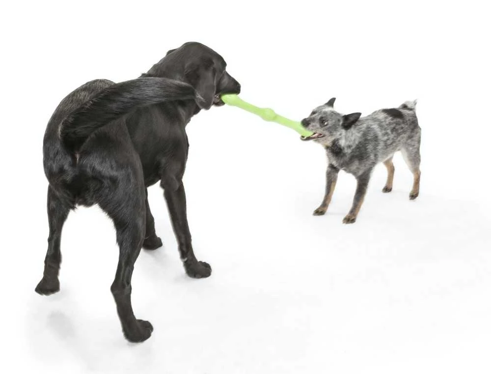 West Paw Design Hondenspeelgoed Echo Zwig Groen 4 West Paw Design Hondenspeelgoed Echo Zwig Groen - Afbeelding 2