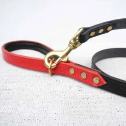 Houndworthy Hondenriem Bridle Leather Jet Black